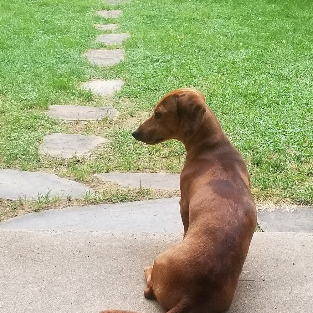 Meet your Posher, Krista